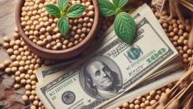 Soja en Argentina: alza de $5000 por tonelada en la apertura de julio