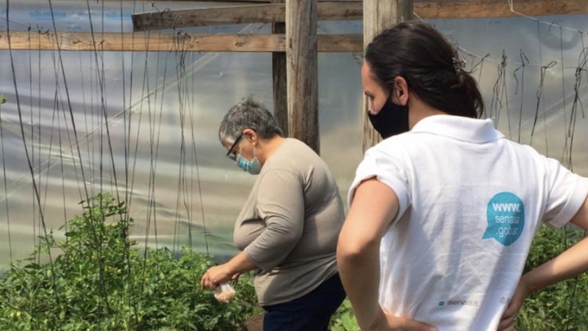 Apoyo al desarrollo de una huerta comunitaria agroecológica ubicada en Tandil