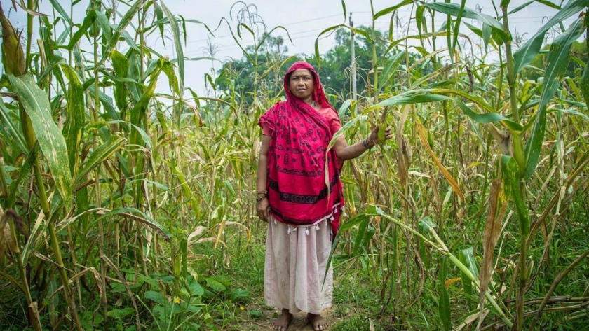 El sector agrícola de la India ha sobrevivido a la pandemia. ¿Pero sobrevivirá al cambio climático?