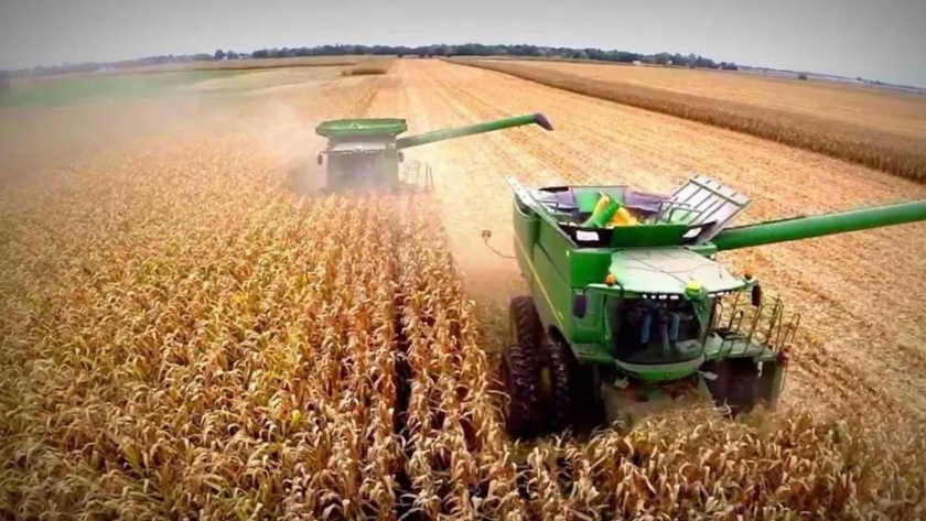 Efecto de aplicación con biofertilizante en soja y maíz