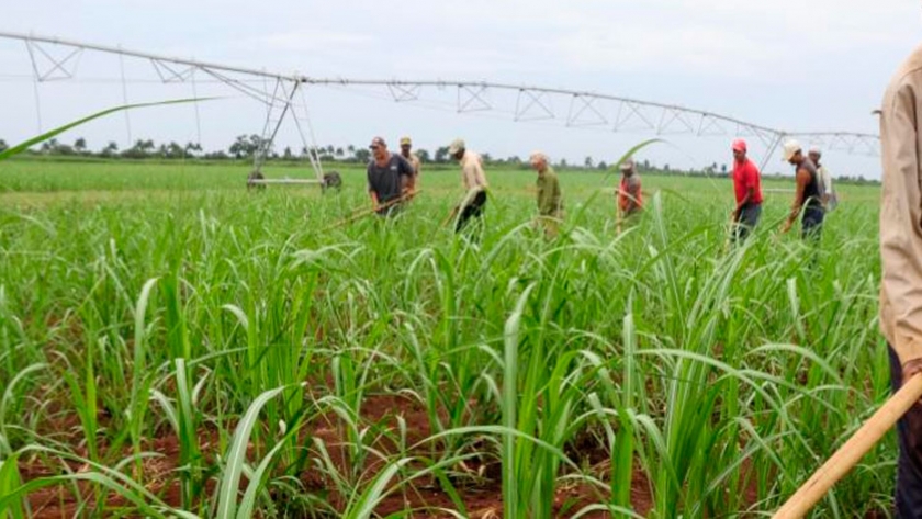 Expertos plantean potenciar el agro y manufacturas en Bolivia ante caída de productos extractivos
