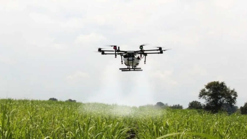 Innovación y tecnología en Silicon Misiones: avances destacados en la artería AgTech