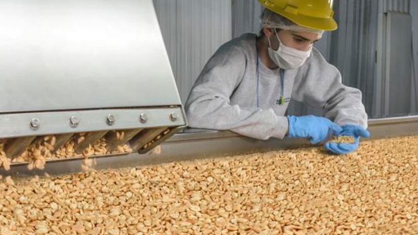 El maní cordobés debutó con el sello Alimentos argentinos, una elección natural433