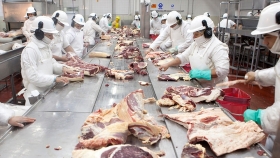 Frigoríficos: los trabajadores de la carne van por un aumento superior al 50 %