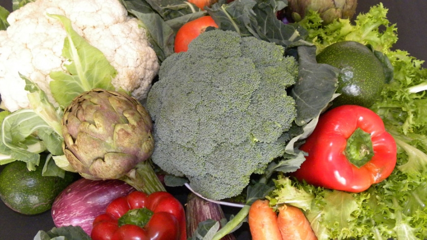 Rige la obligatoriedad de Buenas Prácticas para el sector hortícola