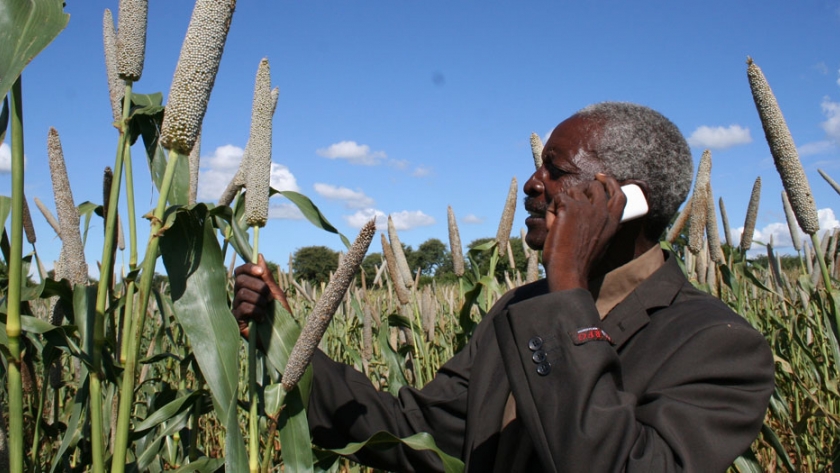 La digitalización podría transformar la agricultura africana