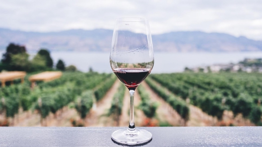 Invitan a participar de una encuesta sobre el Turismo del Vino