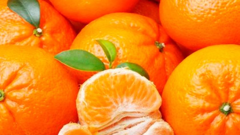 Perú: Mandarinas impulsan aumento del 40% en exportaciones de cítricos