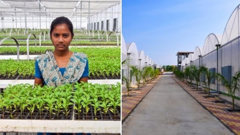 Israel ayudará a India a duplicar los ingresos de los agricultores para 2022