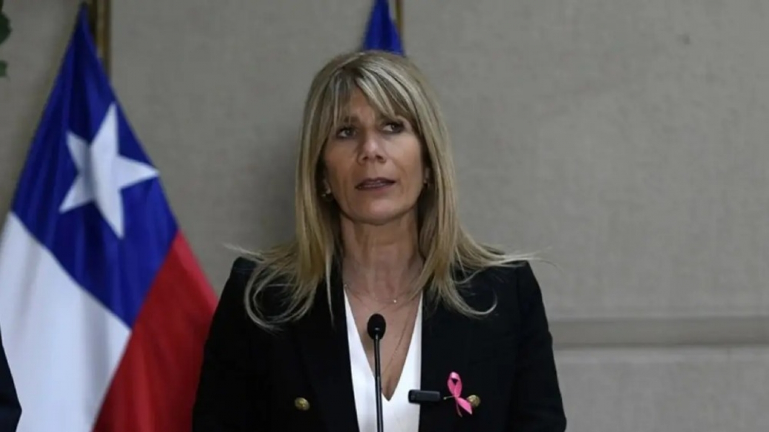 Chile ofrece una salida al Pacífico para potenciar las exportaciones de Vaca Muerta y acercar el gas argentino a Asia