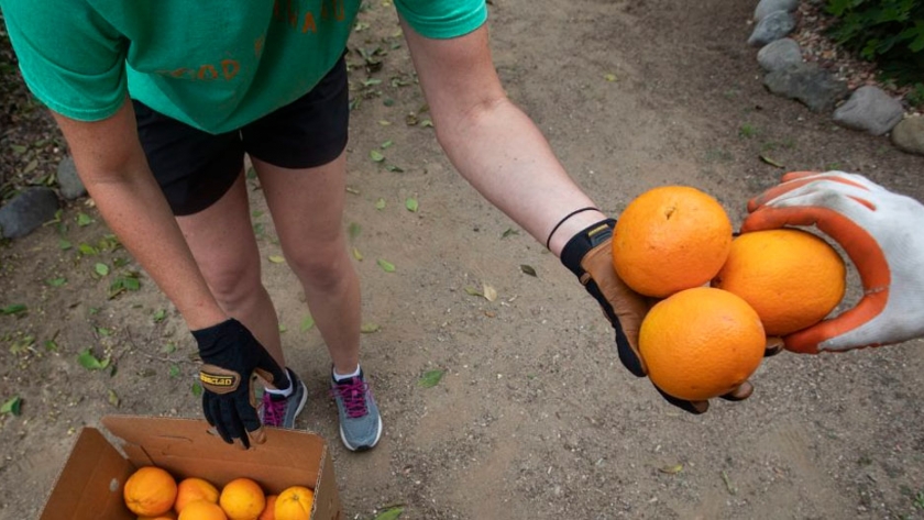 El jugo de naranja es el producto de mayor rendimiento del mundo hasta mayo de 2020