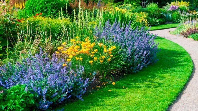 Cuidado del jardín en verano: mantén tu oasis verde en óptimas condiciones