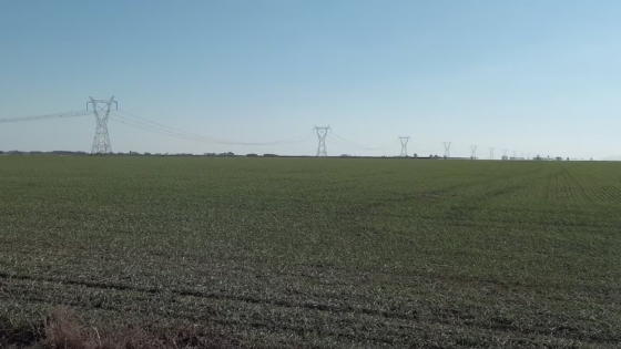 Federación Agraria evalúa ir a la Justicia por la Ley de Tierras Rurales