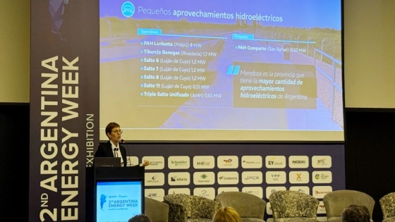Latorre abre la Argentina Energy Week y Mendoza será sede de cumbre financiera minera