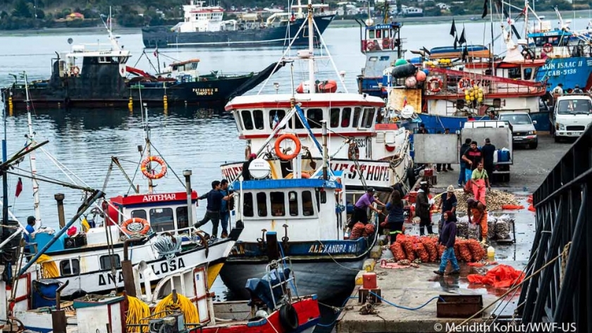 Investors key in reducing illegal seafood production and enhancing traceability systems