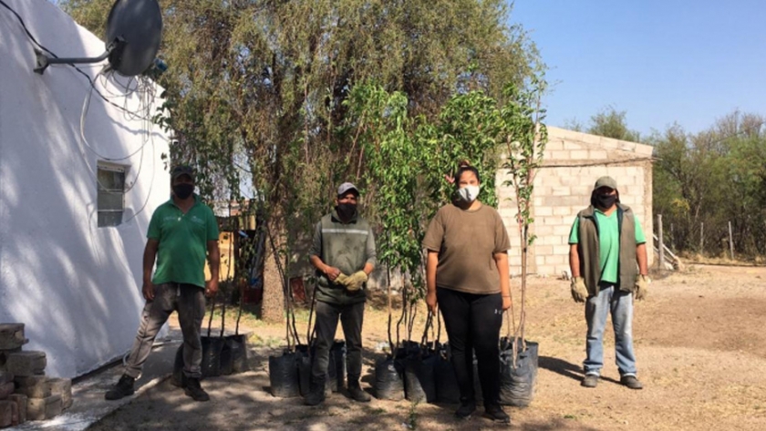 El Plan de Activación Frutihortícola lleva entregados más de 2.700 árboles frutales