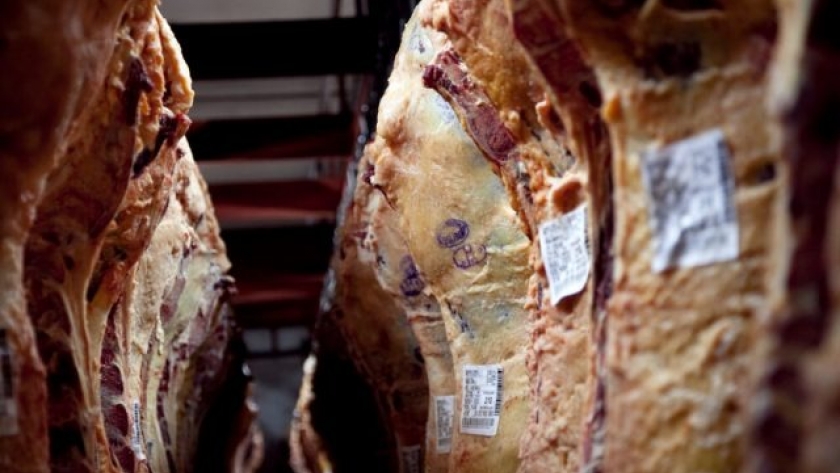 ¿Por qué Brasil exporta más carne y maíz?