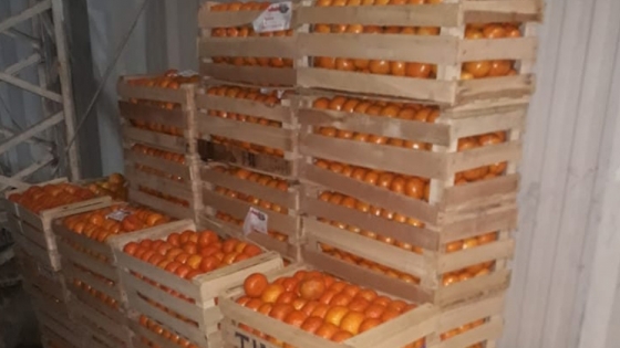 Donación de más de una tonelada de frutas frescas a municipios de la provincia de La Pampa