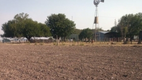 Productores y desarrolladores rurales alertan por el impacto de la Ley de Suelos bonaerense