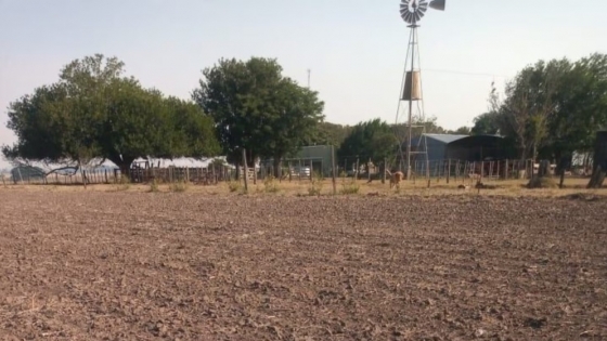Productores y desarrolladores rurales alertan por el impacto de la Ley de Suelos bonaerense