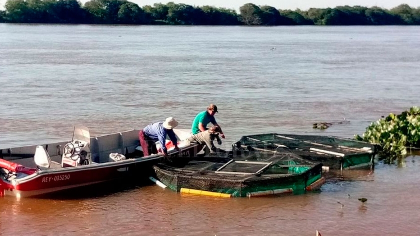Santa Fe, una piscifactoría