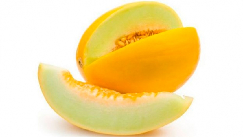 Cómo es el negocio del melón en Mendoza: Buenas posibilidades para invertir
