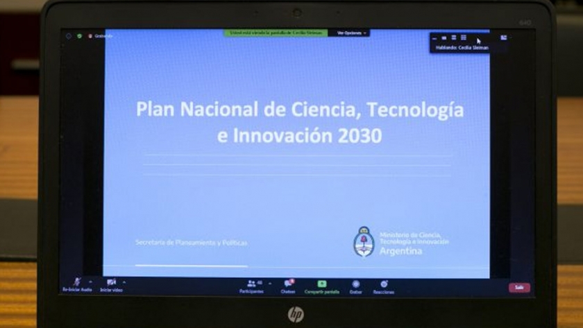 El Plan Nacional de Ciencia Tecnología e Innovación 2030 se fortalece con el trabajo de los/as científicos/as argentinos/as en el exterior que nuclea el Programa RAICES
