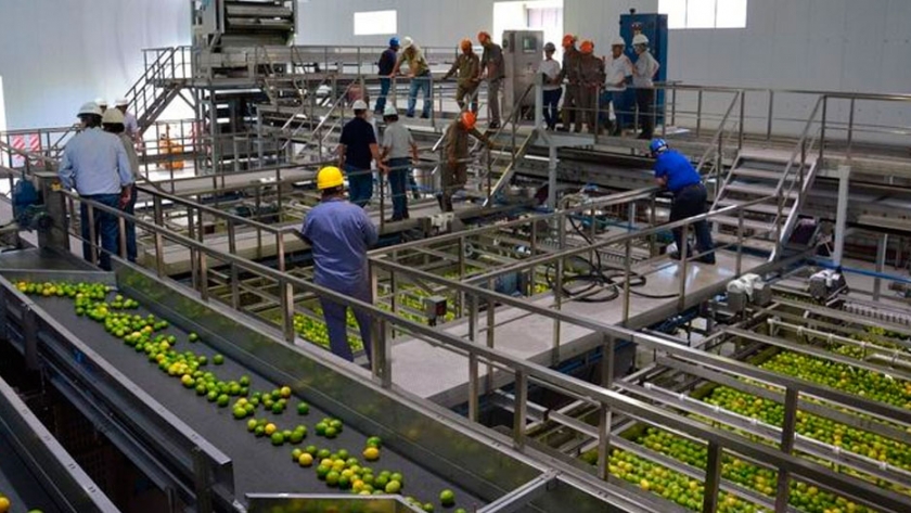 Crecimiento del negocio de las frutas y los jugos