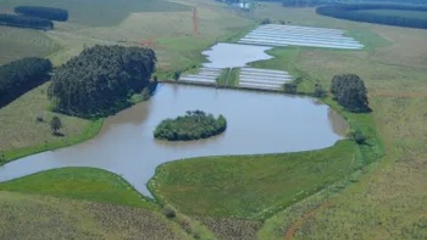 Nació como hobby y ahora no logran cubrir la demanda: la historia de una empresa agropecuaria que diversificó su actividad y planea exportar a Europa y Estados Unidos un nuevo 