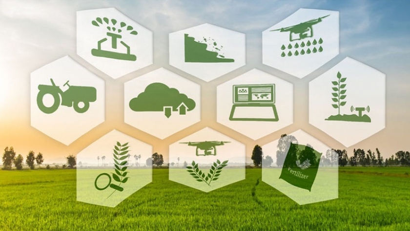 En Argentina 2 de cada 10 puestos de trabajo provienen de la agroindustria