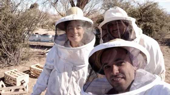 Beeflow: la agtech argentina que “entrena” abejas consiguió una millonaria inversión