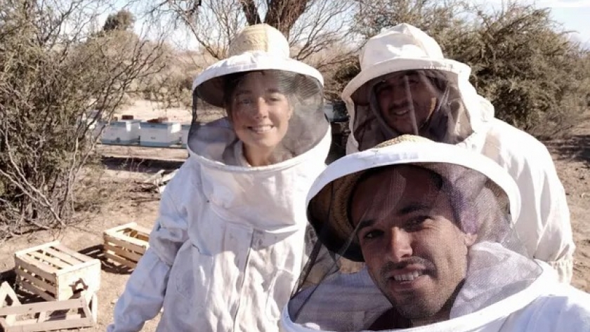 Beeflow: la agtech argentina que “entrena” abejas consiguió una millonaria inversión