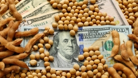Mercado de Chicago: bajan la soja y el trigo; sube el maíz