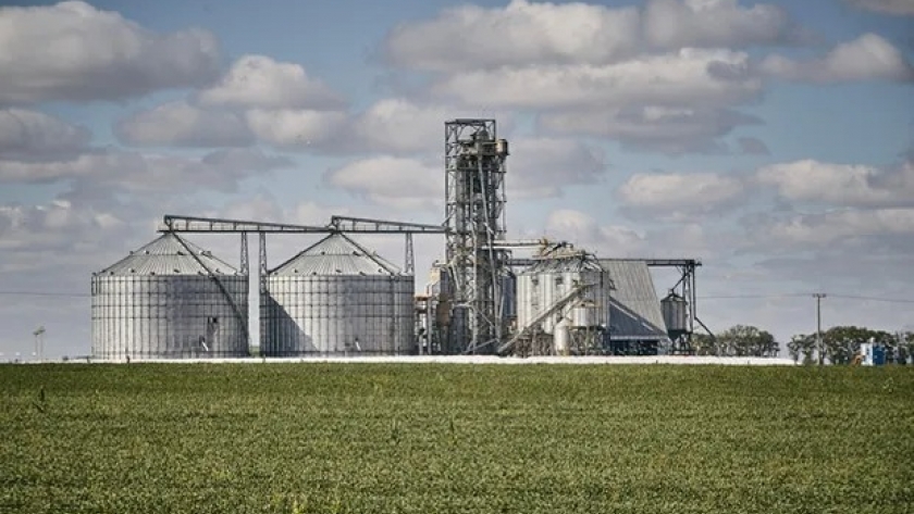 El negocio agrícola cambió: los secretos de gigantes del agro que siembran hasta 220 mil hectáreas