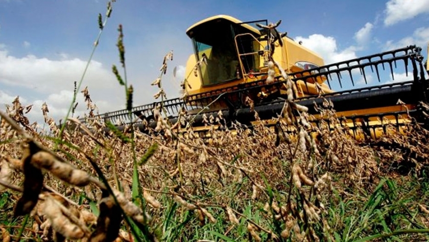 Avanza la cosecha de soja