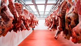 Nuevo sistema de diferenciación para la carne argentina