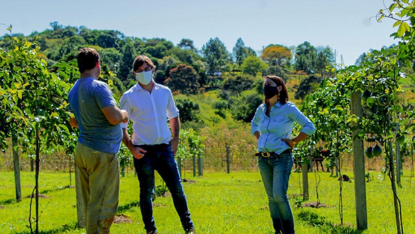 Producción sustentable y valor agregado en origen a frutas tropicales