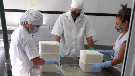 Capacitan a productores lecheros sobre el proceso de fabricación de quesos artesanales