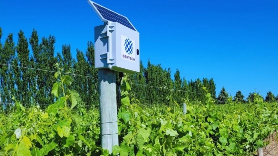 Riego eficiente en zonas áridas: tecnología y saber local para cuidar el agua en el río Colorado