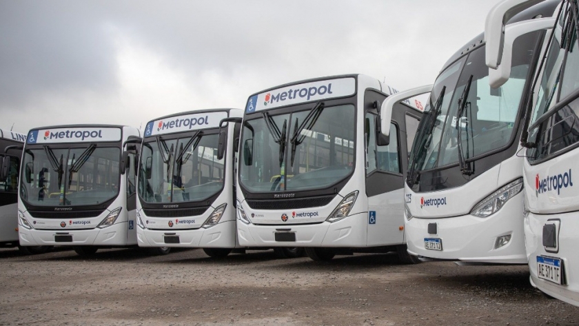 Scania urbana
