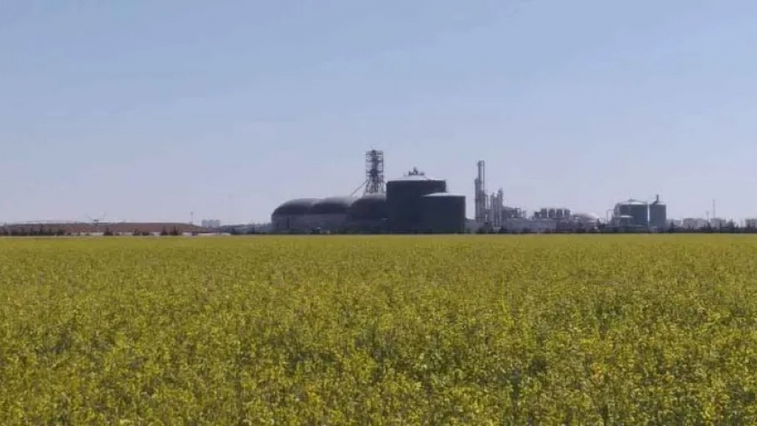 Argentina creó su ‘Plan de Acción de Bioeconomía para el Sector Agropecuario’