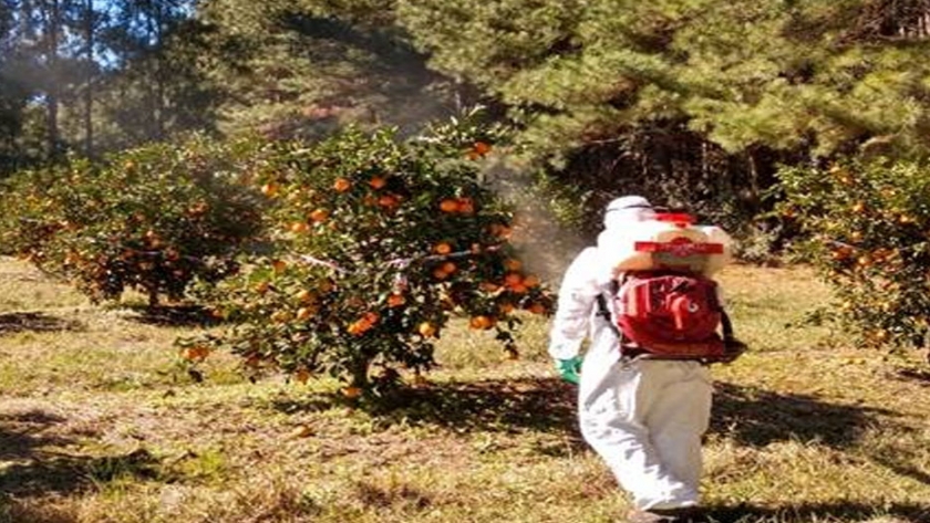 Persistencia de tebuconazole aplicado en naranja Valencia Late de Concordia, Entre Ríos