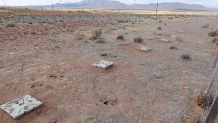 En Jujuy utilizan innovador sistema para plantar 900 árboles en la Puna