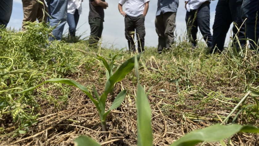 Aapresid publica un manual de prácticas para la agricultura regenerativa