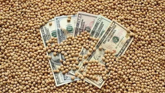 <El precio de la soja cayó $5000 por tonelada en el mercado local y Chicago anotó una nueva jornada a la baja