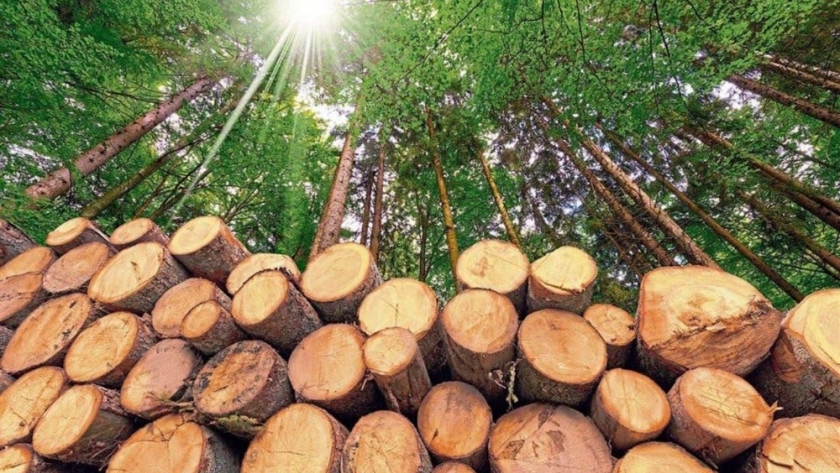 ConFIAr: una nueva institución formada por entidades de la industria forestal