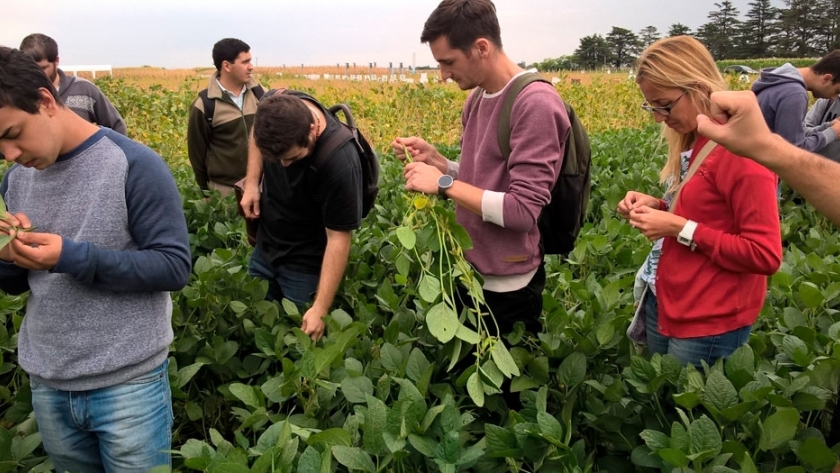 Jornada de intercambio técnico en el centro de entrenamiento de Monsanto