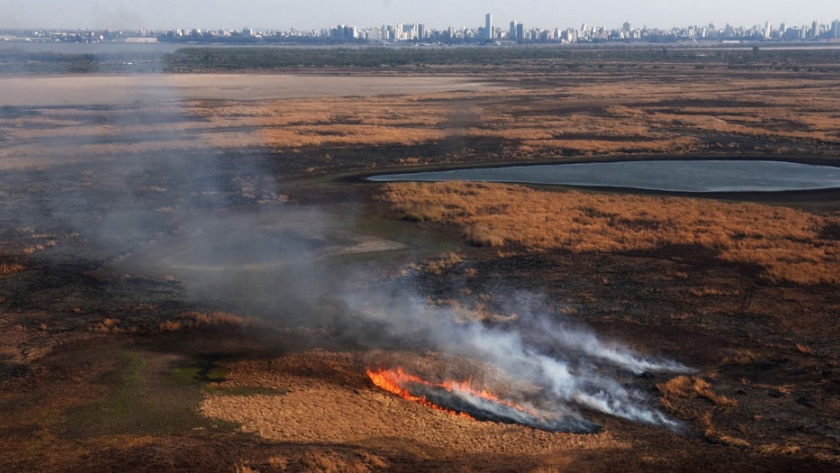 Nueva reunión del Comité de Emergencia Ambiental por los incendios en el delta del Paraná