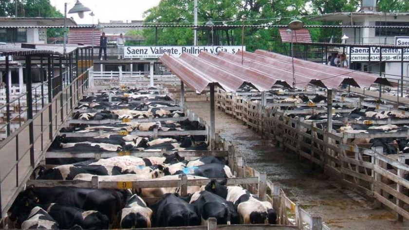 Piden prórroga para trasladar el Mercado de Liniers a Cañuelas	