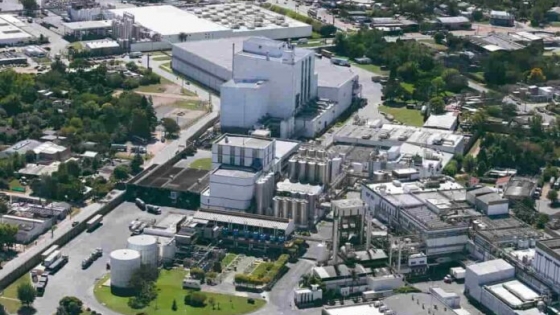 Mastellone redujo casi 9% sus emisiones y marcó un hito climático en la industria alimentaria